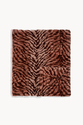Terracotta Zebra