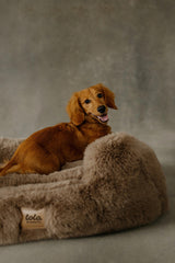 The Lola Pet Bed | Desert Dune