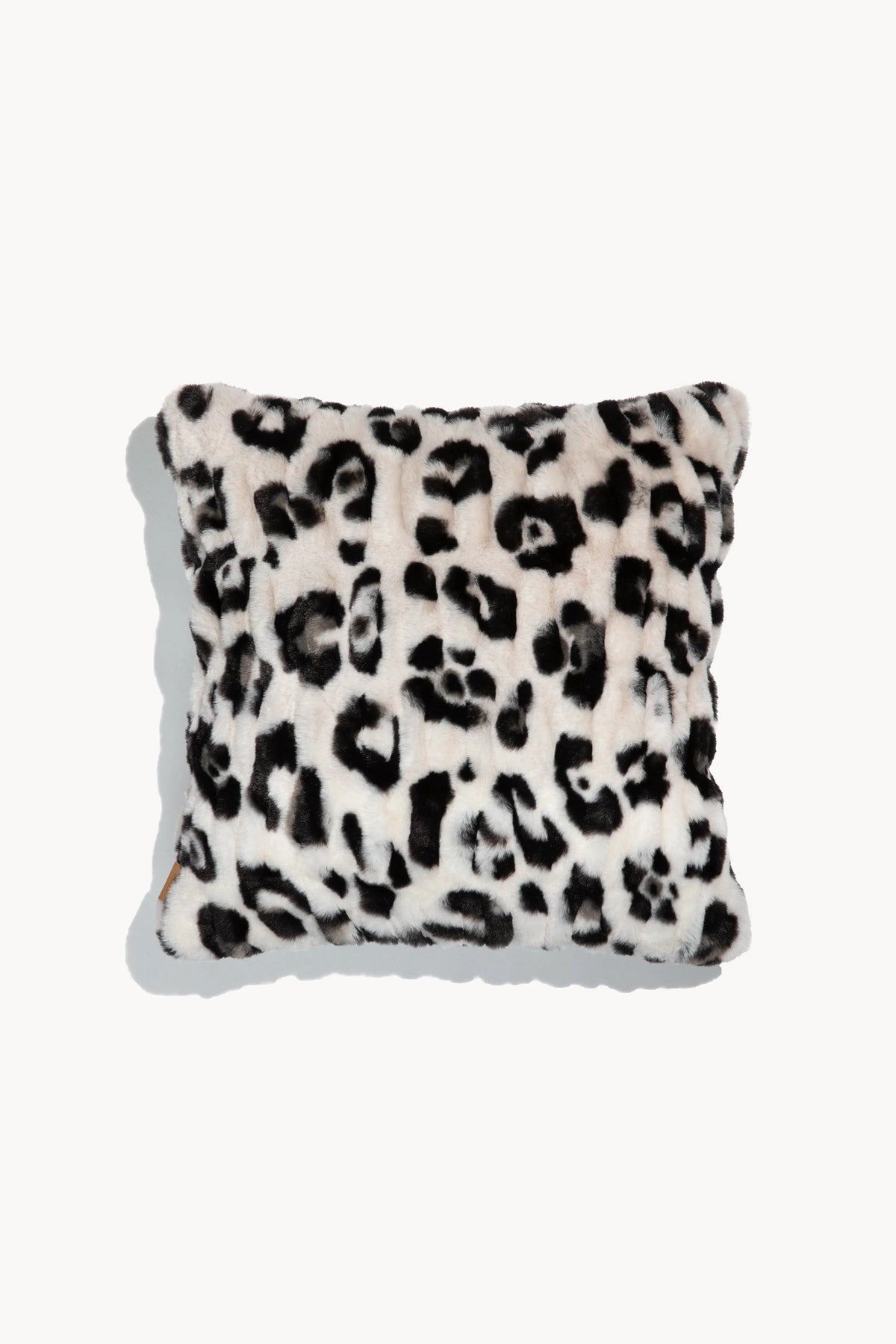 Snow Leopard