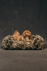 The Lola Pet Bed | Sagebrush Camo