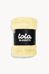 Lemon Sorbet
