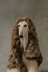 The Lola Pet Blanket | Desert Dune